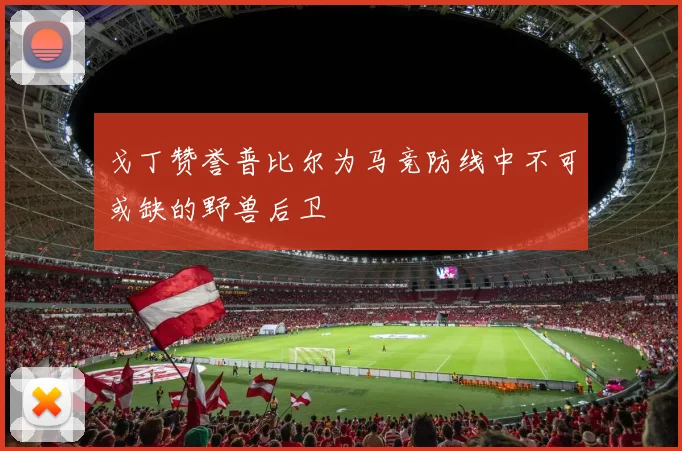 戈丁赞誉普比尔为马竞防线中不可或缺的野兽后卫