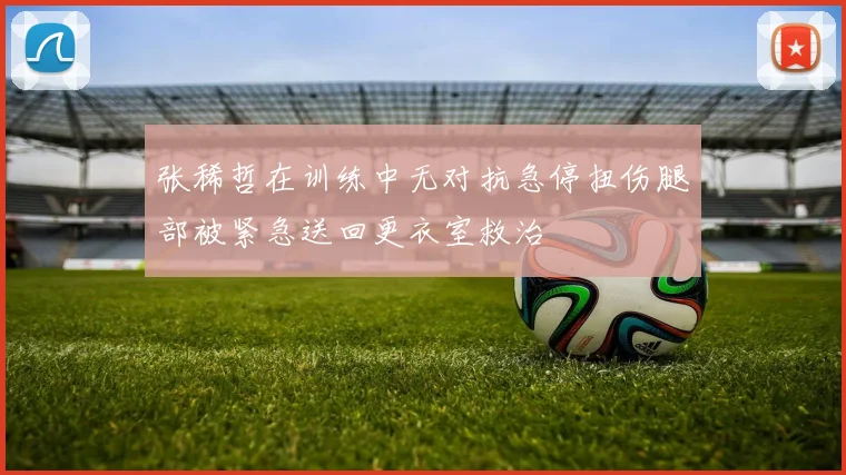 张稀哲在训练中无对抗急停扭伤腿部被紧急送回更衣室救治